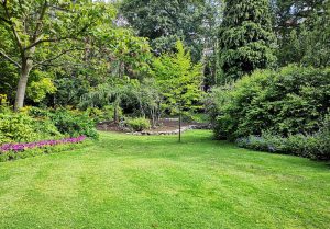 Optimiser l'expérience du jardin à Mechmont